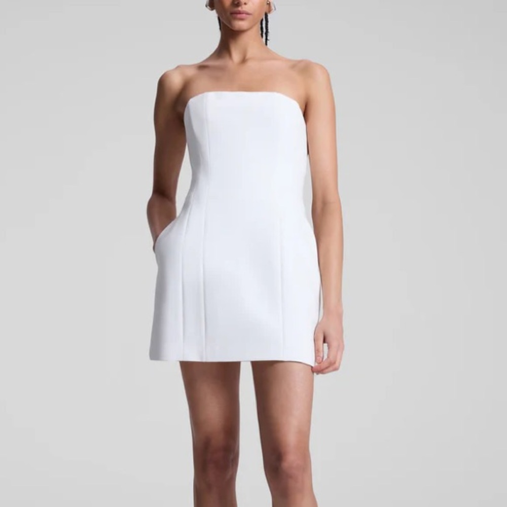 ALC Elsie Mini Dress Size 4 White